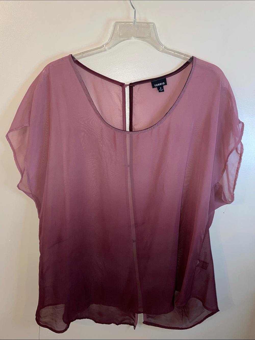 Sheer Chiffon Blouse